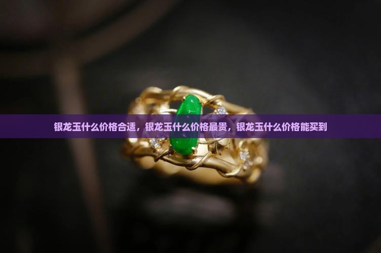 银龙玉什么价格