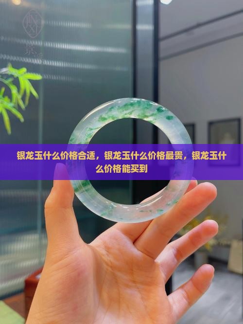银龙玉什么价格