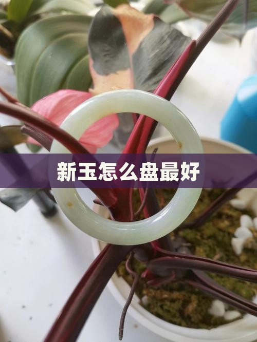 新玉怎么盘最好
