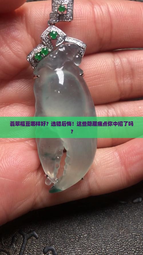翡翠福豆哪样的好