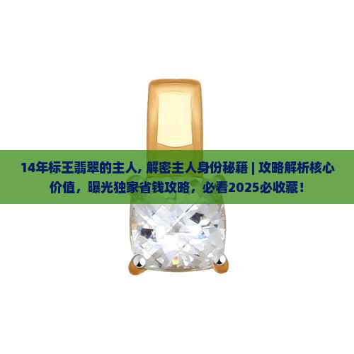 14年标王翡翠的主人