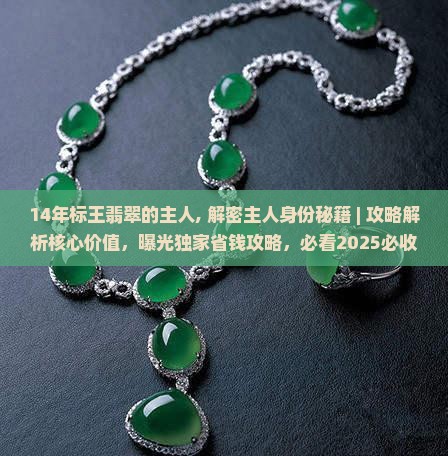 14年标王翡翠的主人