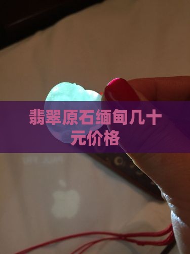 翡翠原石缅甸几十元