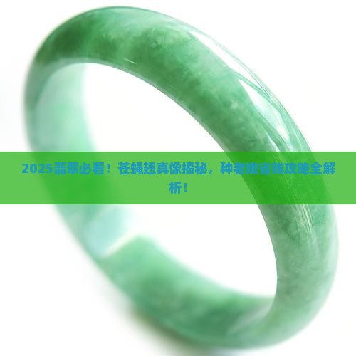 苍蝇翅翡翠跟种老嫩关系