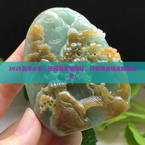 苍蝇翅翡翠跟种老嫩关系