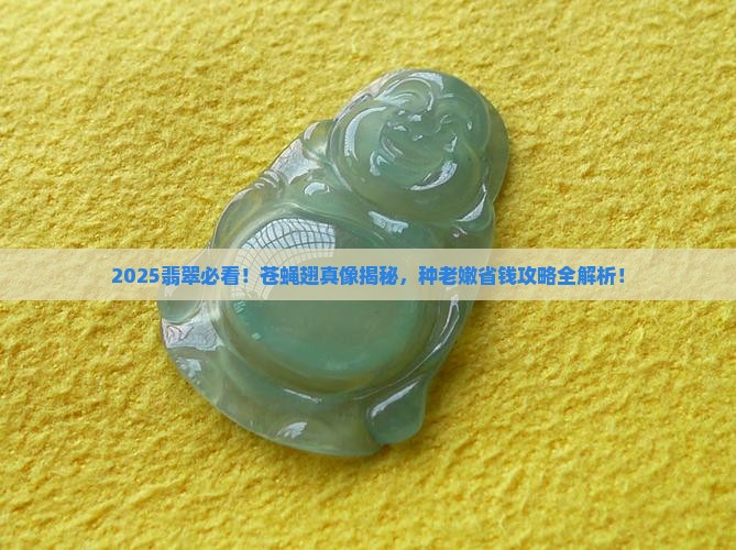 苍蝇翅翡翠跟种老嫩关系