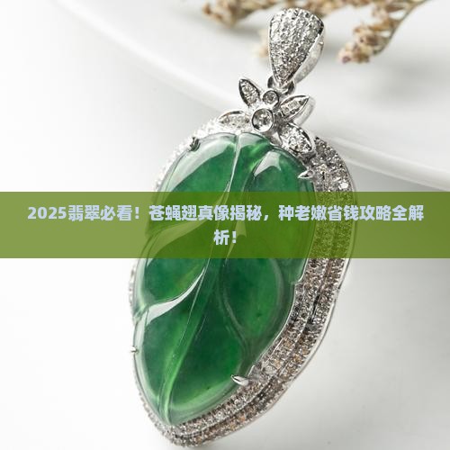 苍蝇翅翡翠跟种老嫩关系