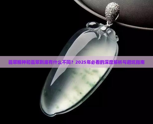 翡翠糯种和翡翠的区别