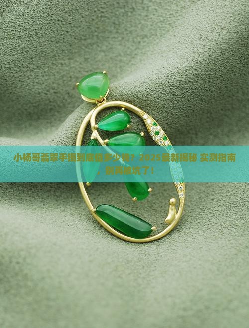 小杨哥翡翠手镯值多少钱
