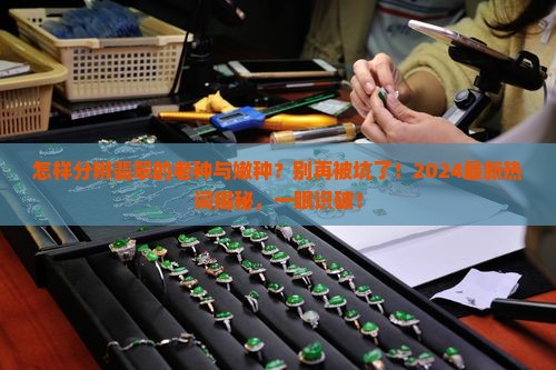 怎样分辨翡翠的老种与嫩种
