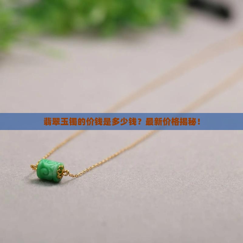 翡翠玉镯的价钱是多少钱