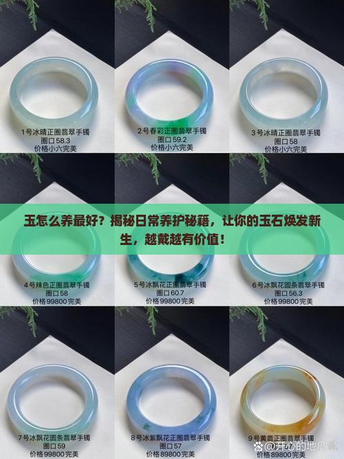 玉怎么养最好