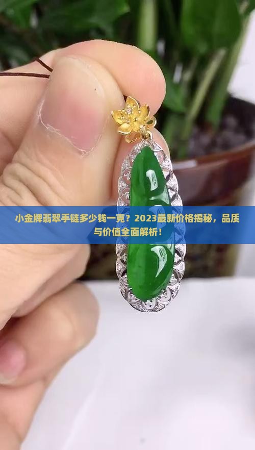 小金牌翡翠手链多少钱一克