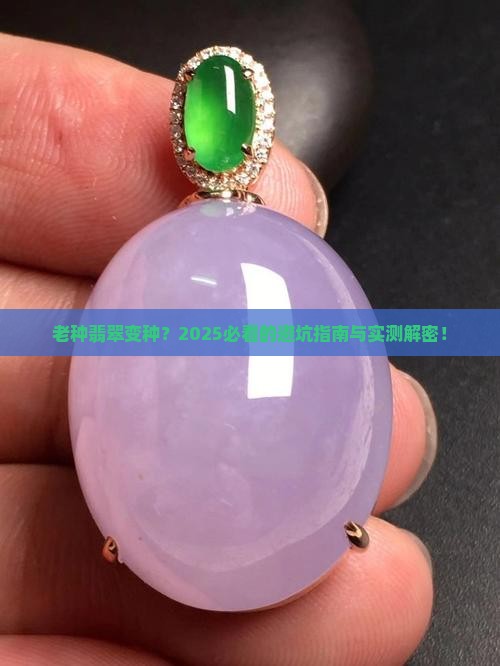 老种翡翠变种