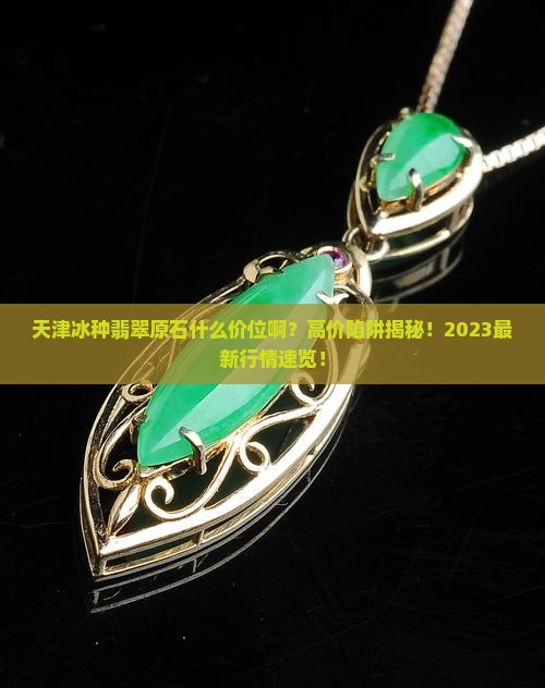天津冰种翡翠原石什么价位啊