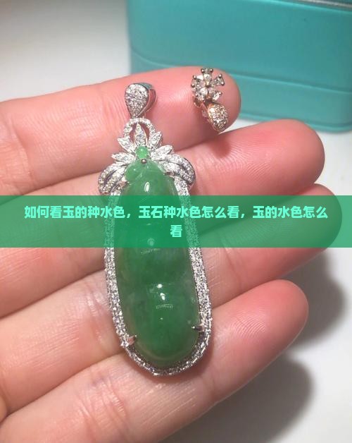 如何看玉的种水色