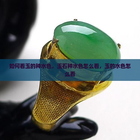 如何看玉的种水色