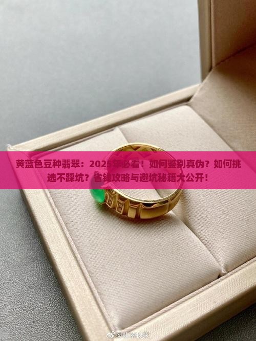 黄蓝色豆种翡翠
