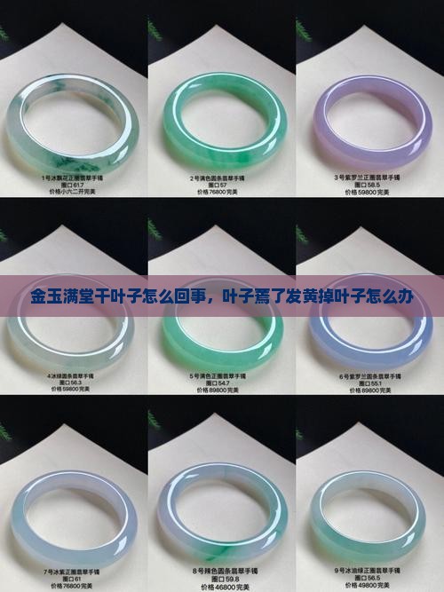金玉满堂干叶子怎么回事