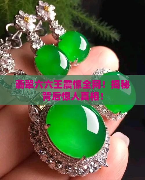 缅甸翡翠六六王