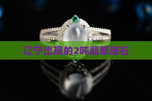 辽宁出现的2吨翡翠原石