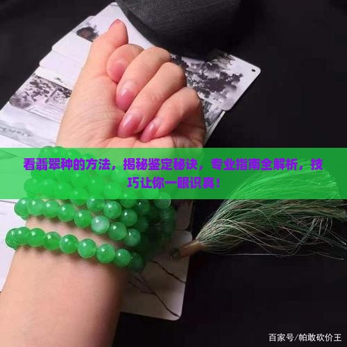 看翡翠种的方法