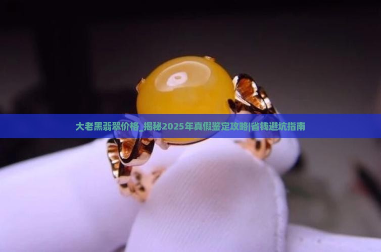 大老黑翡翠价格