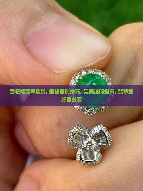雪花棉翡翠欣赏