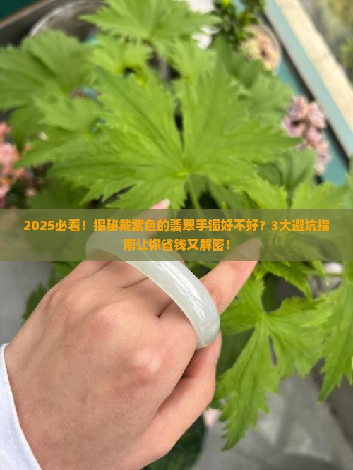 戴紫色的缅甸翡翠手镯好不好