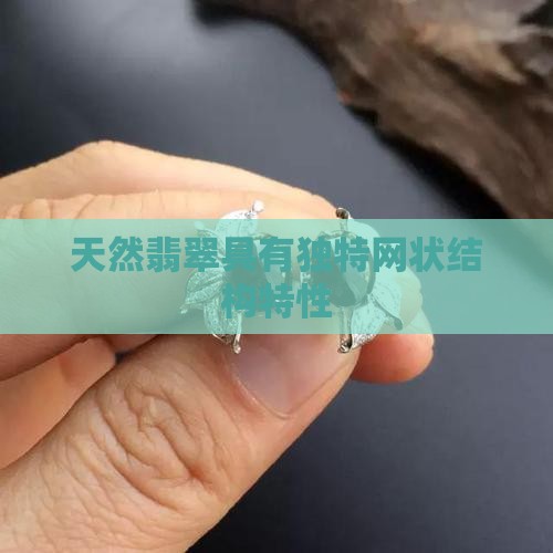 天然翡翠具有独特网状结构特性