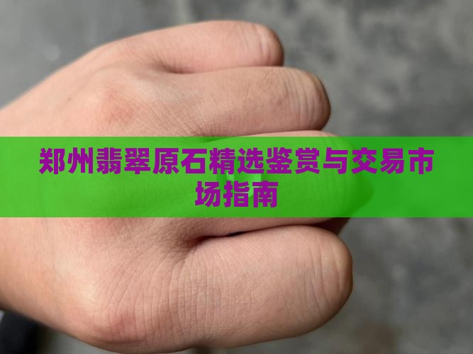 郑州翡翠原石精选鉴赏与交易市场指南