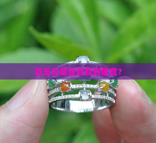 真玉价格是否真的便宜？
