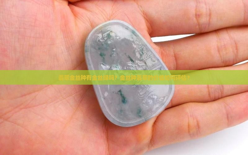 翡翠金丝种有金丝绿吗？金丝种翡翠的价值如何评估？