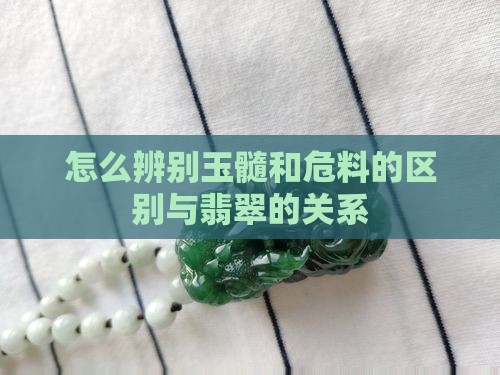 怎么辨别玉髓和危料的区别与翡翠的关系
