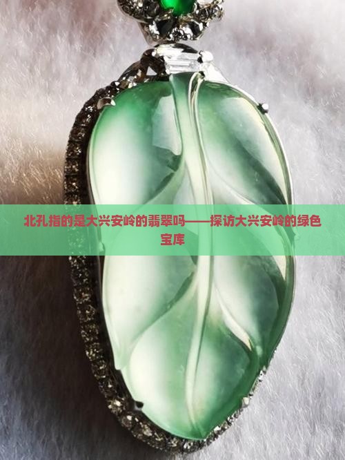 北孔指的是大兴安岭的翡翠吗——探访大兴安岭的绿色宝库