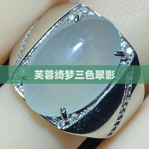 芙蓉绮梦三色翠影