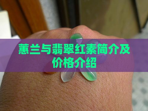 蕙兰与翡翠红素简介及价格介绍