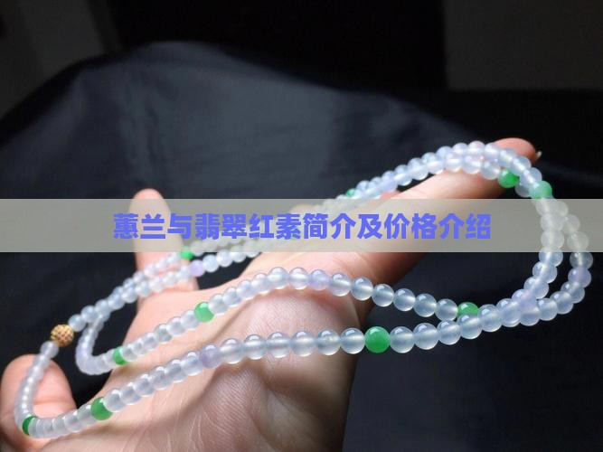 蕙兰与翡翠红素简介及价格介绍