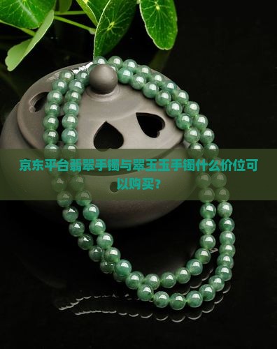 京东平台翡翠手镯与翠玉玉手镯什么价位可以购买？
