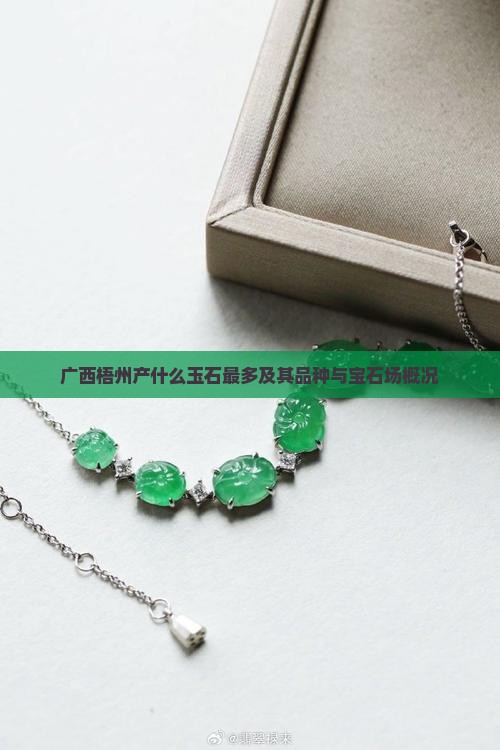 广西梧州产什么玉石最多及其品种与宝石场概况