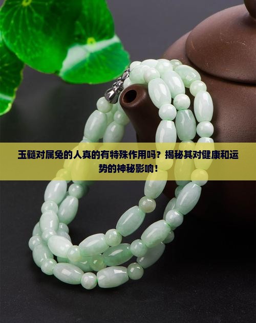 玉髓对属兔的人真的有特殊作用吗？揭秘其对健康和运势的神秘影响！