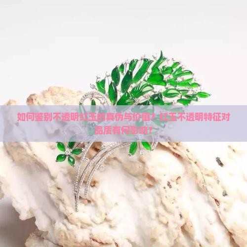 如何鉴别不透明红玉的真伪与价值？红玉不透明特征对品质有何影响？