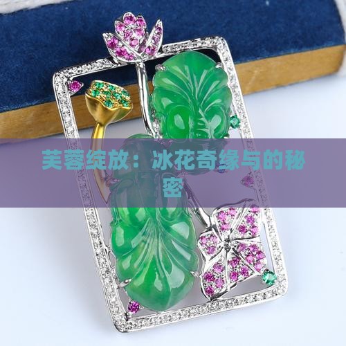 芙蓉绽放：冰花奇缘与的秘密