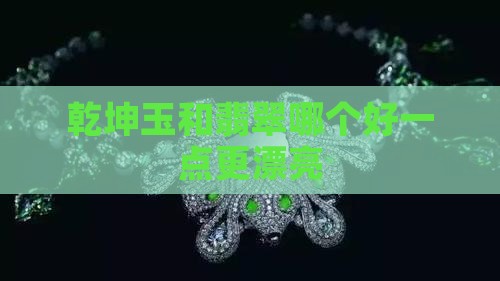 乾坤玉和翡翠哪个好一点更漂亮