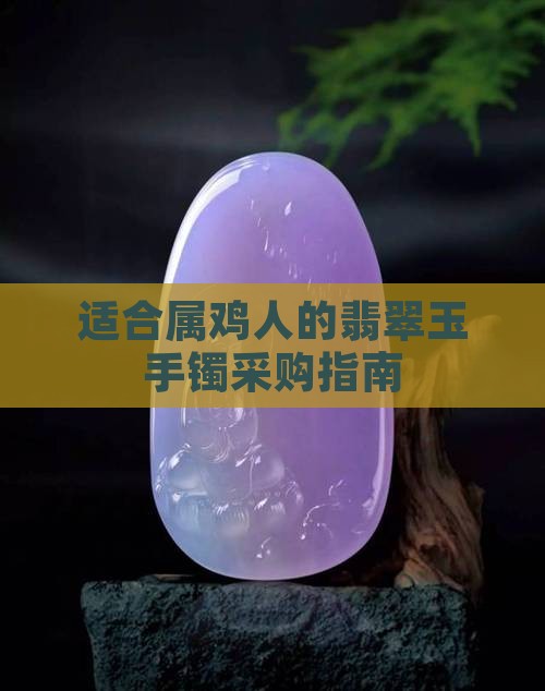 适合属鸡人的翡翠玉手镯采购指南