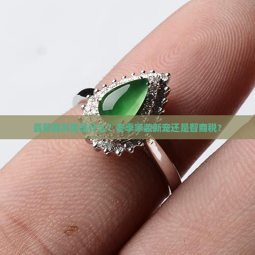 翡翠暴风雪是什么？冬季家装新宠还是智商税？
