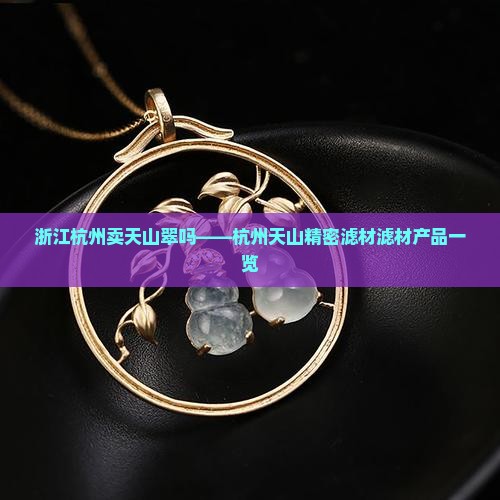 浙江杭州卖天山翠吗——杭州天山精密滤材滤材产品一览