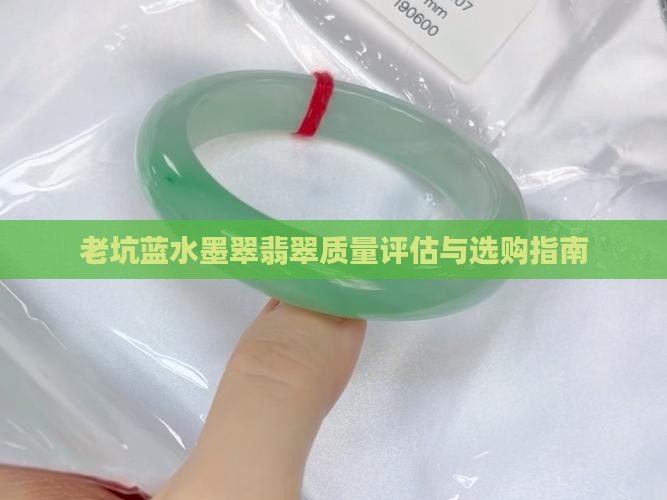 老坑蓝水墨翠翡翠质量评估与选购指南