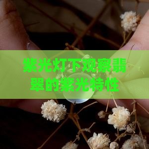 紫光灯下观察翡翠的紫光特性
