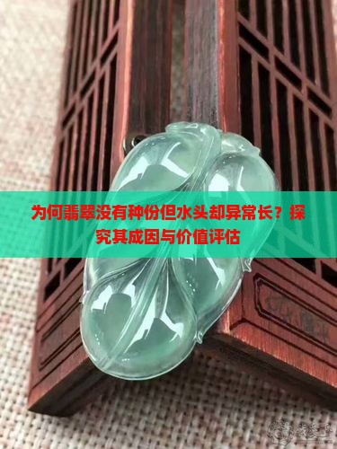 为何翡翠没有种份但水头却异常长？探究其成因与价值评估
